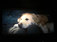 -UME影城(安贞DTS:X店)