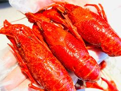 -红盔甲·小龙虾(天钥桥店)