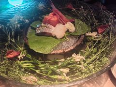 -地球美食剧场
