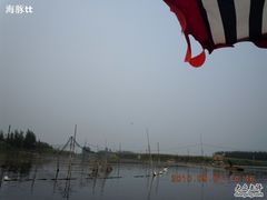 -白洋淀景区