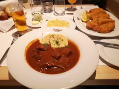 维也纳炸猪排-Plachuttas Gasthaus zur Oper