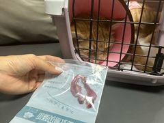 -谐和贝康宠物医院24小时·宠保定点(急重症转诊中心)