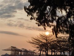 -鼓浪屿