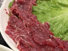 -重庆川渝肥妹火锅