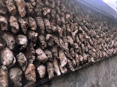 -囧吉香生蚝牛排馆(湖北路店)