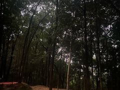 -广州市白云山风景名胜区