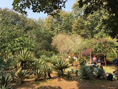 -中国科学院西双版纳热带植物园