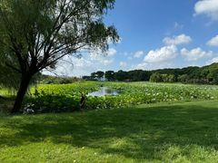 -苏州金鸡湖大酒店