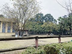 -成都动物园