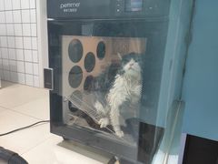 -老吴的猫·猫舍(新区店)