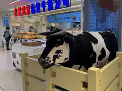 -红星前进面包牛奶公司(君太店)