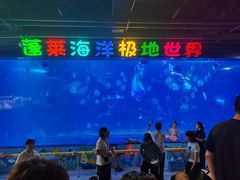 -蓬莱欧乐堡海洋极地世界