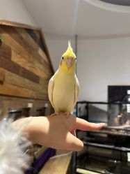 -Zoolung Zoolung动物主题公园(海信广场店)