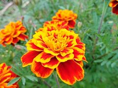 -白鹭湾湿地公园