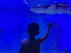 -太平洋海底世界