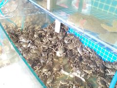 水产区-蟹谢蒸鲜自助餐厅