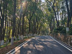 -上海市保健医疗中心