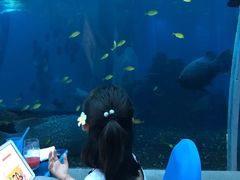 -海棠湾洲际-涛·海底餐厅·美人鱼·自助餐·海底隧道