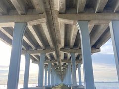 -宝安西湾红树林湿地公园