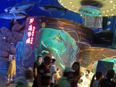 -烟台海昌鲸鲨海洋公园