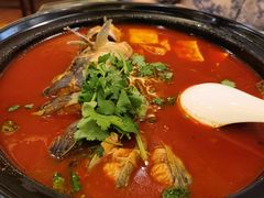 酸汤乌江鱼-贵州大厦贵州厅(樱花园西街店)