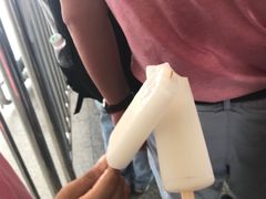 -鱼珠码头(轮渡站)