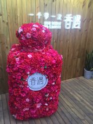 -香遇沙龙香水·调香·团建