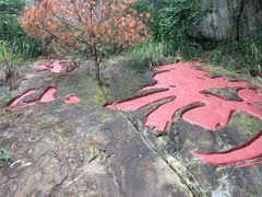 -大金鹰园