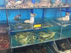 -岛中岛·海鲜大排档·万宁老字号(东澳店)