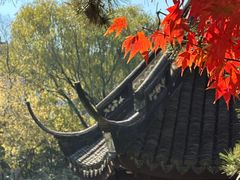 -上海醉白池公园