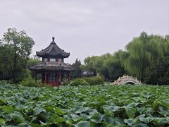 -莲池书院博物馆