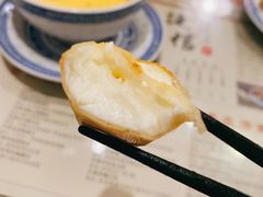 炸牛奶-捷信牛奶甜品世家(五道口店)