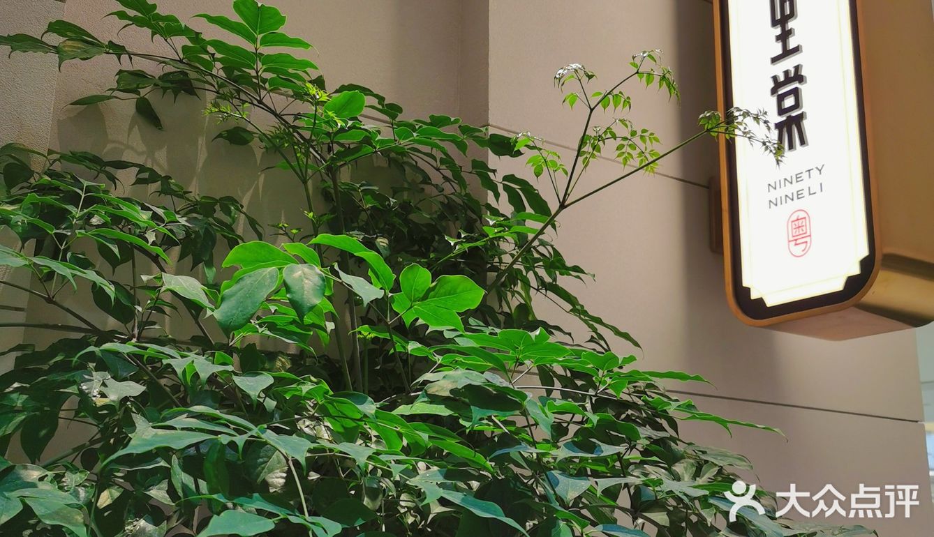 趁着樱花季来这家粤菜馆喝早茶吧！