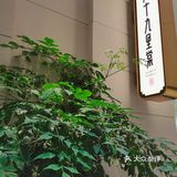 趁着樱花季来这家粤菜馆喝早茶吧！