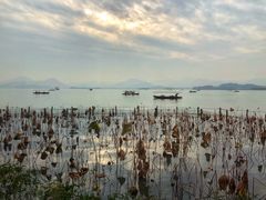 -湖畔居茶楼(湖滨店)