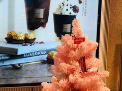 -奈雪的茶(石家庄万象城店)