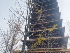 -牛首山文化旅游区