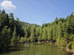-广州市帽峰山景区