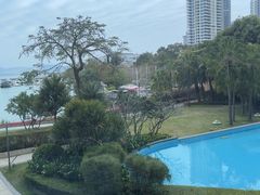 -希尔顿南海酒店·观廊大堂吧·海景下午茶