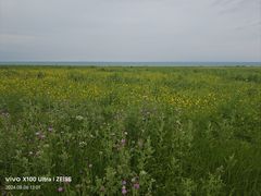 -青海湖国家重点风景名胜区