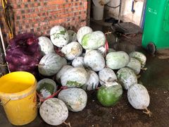 -红旗山庄(圭峰山店)