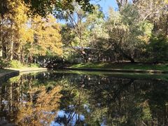 -上海共青森林公园