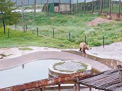 -青藏高原野生动物园