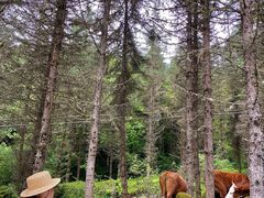 -硗碛藏寨·神木垒景区