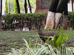 -昆明动物园