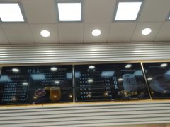 -大麦嘉动物奶油生日蛋糕(军分区新建北路店)