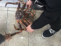 -蚝专家(北滘店)