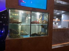 -海派悦庭·海胆烧麦·新融合菜(凯德广场店)