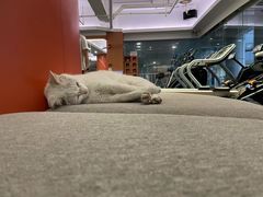 -MEGA BASE 健身馆(南山店)