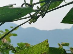 -雅安楠水阁温泉酒店